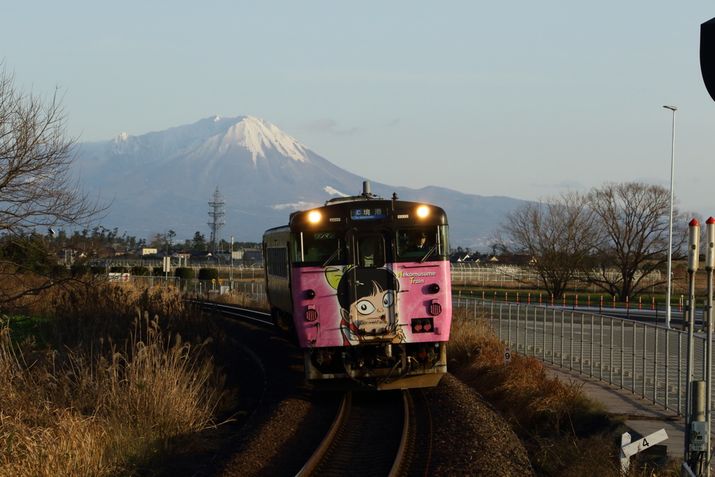 ねこむすめ列車と伯耆富士