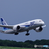 B787就航　03