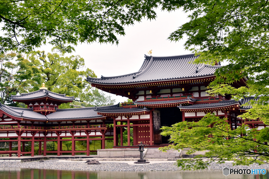 京都宇治平等院