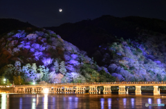 渡月橋ライトアップ