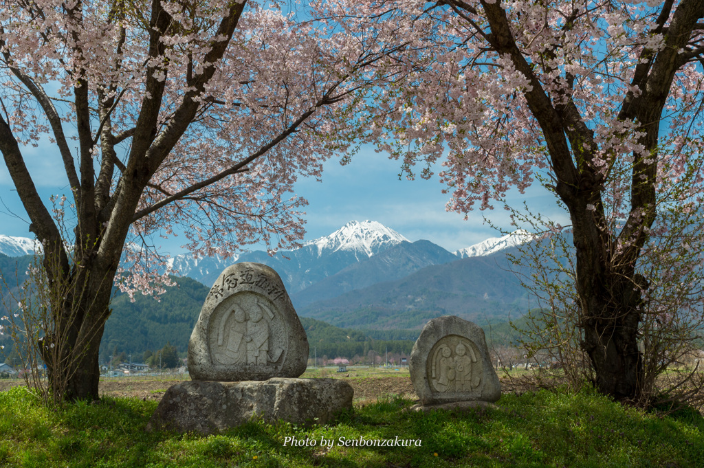 常念道祖神の春