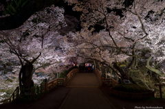 桜雲橋３