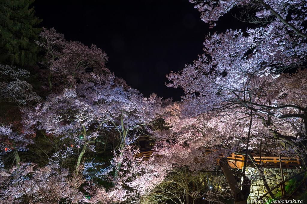 桜雲橋