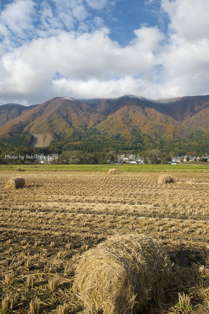 冬支度（１）