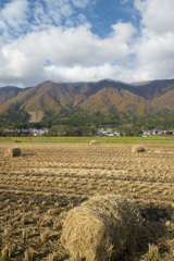 冬支度（１）