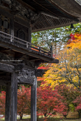 紅葉と山門