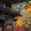 紅葉と山門