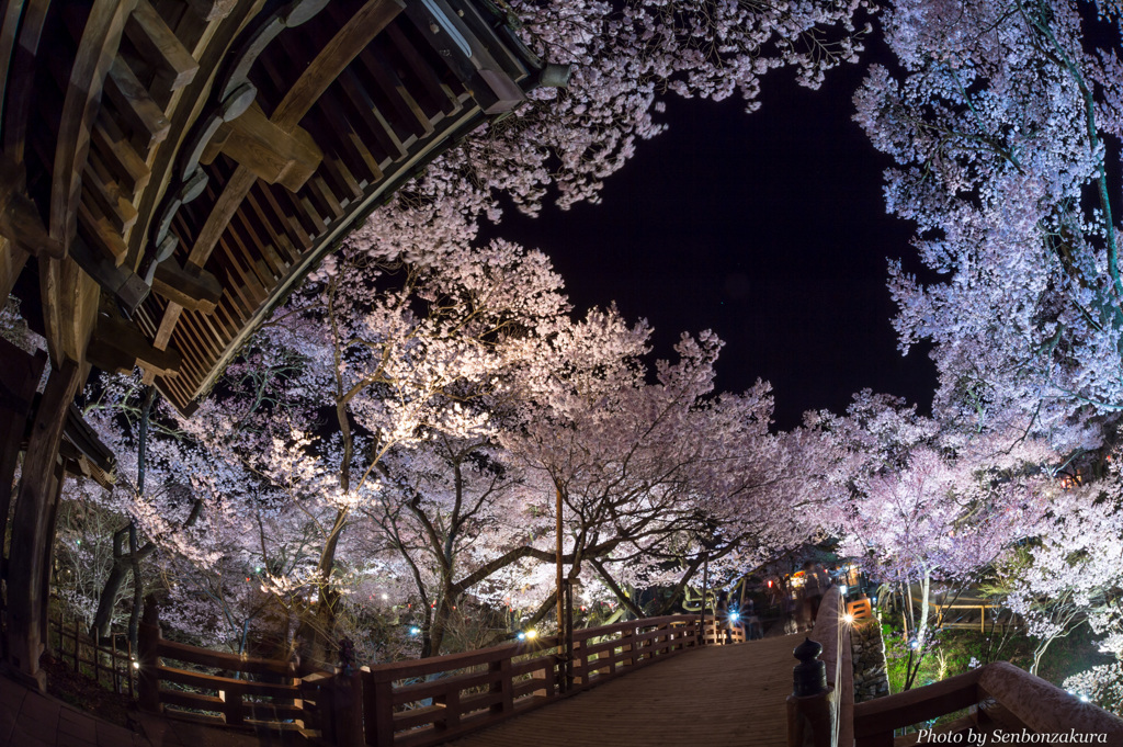 桜雲ホール