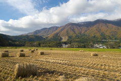 冬支度（２）