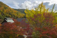 信州紅葉寺　霊松寺