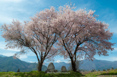 THE常念道祖神