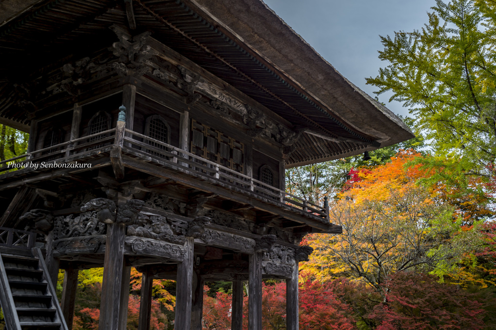 山門と紅葉