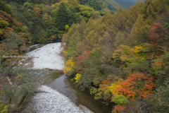 川沿いの彩２