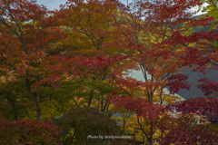 紅葉寺