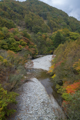 川沿いの彩