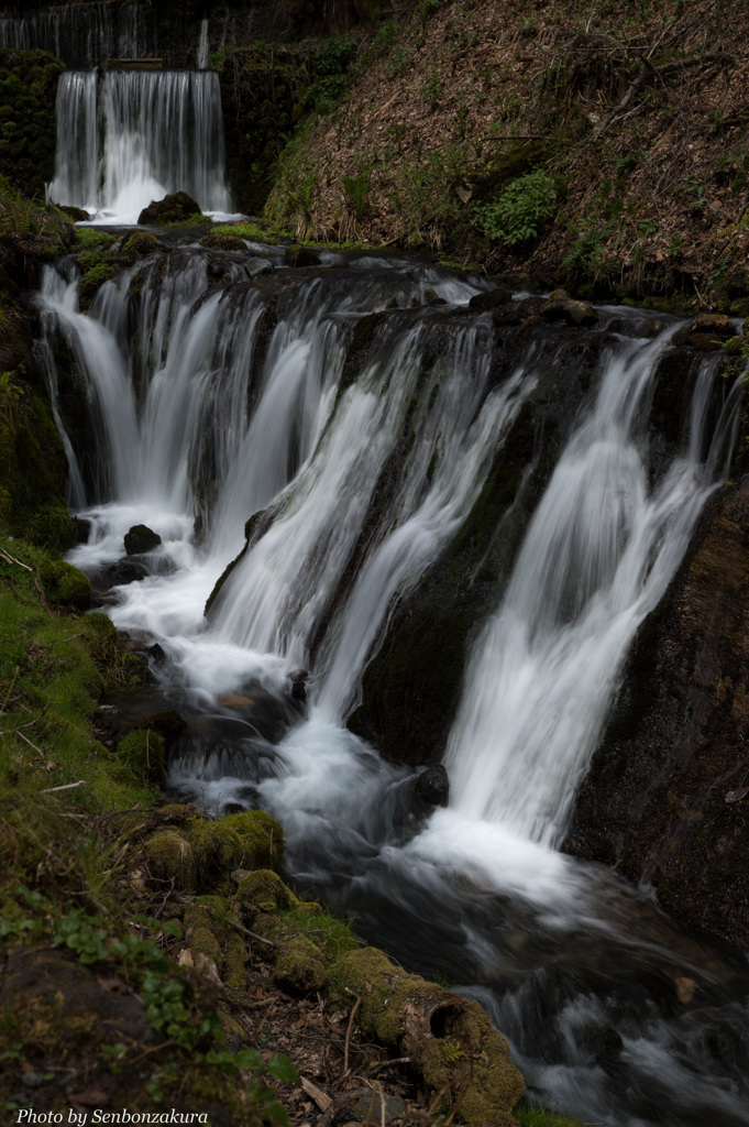 DSC_2456