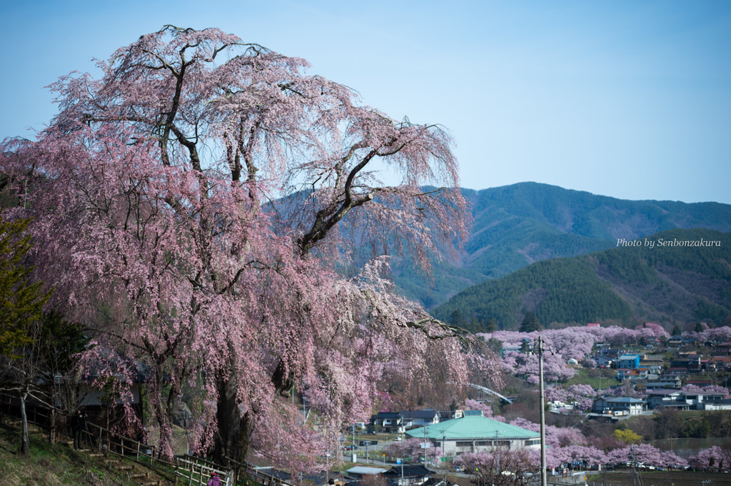 勝間と高遠