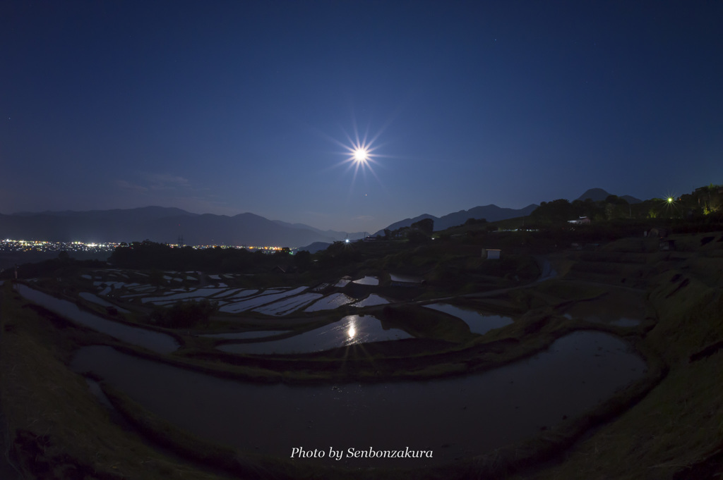 田毎の月