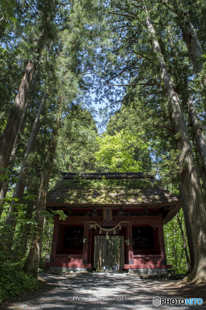 戸隠奥社随神門