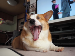 よく寝たな〜