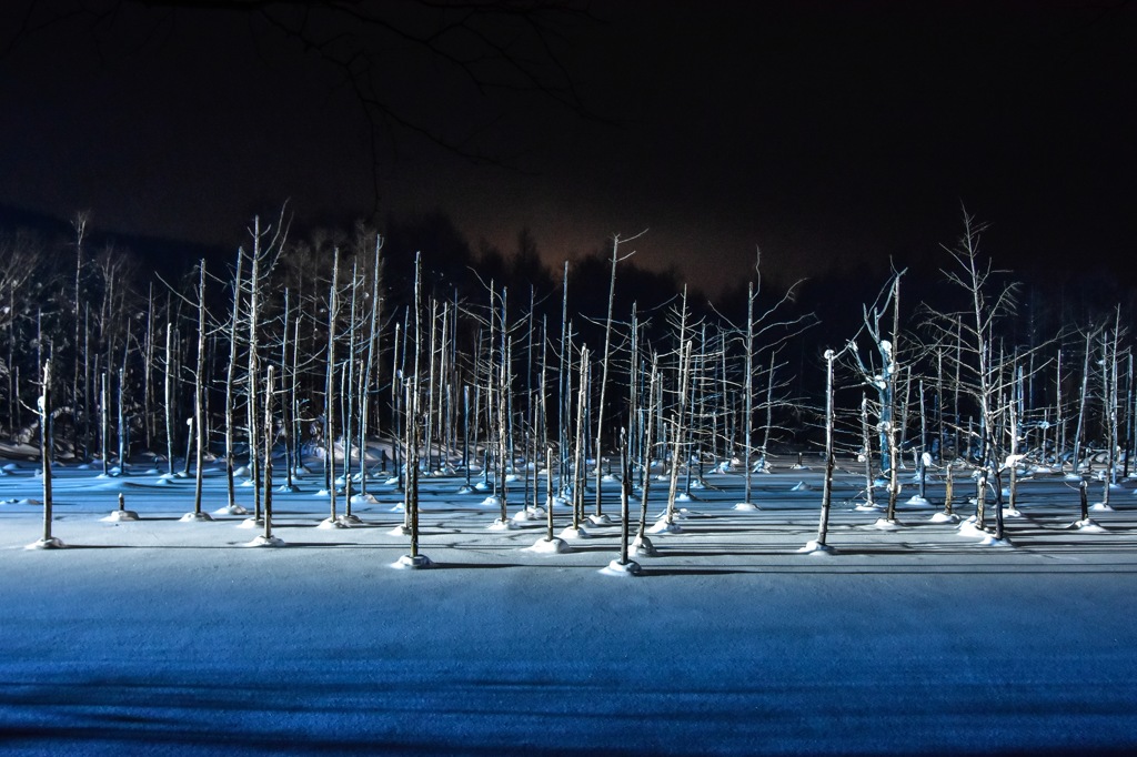 美瑛 青い池ライトアップ 