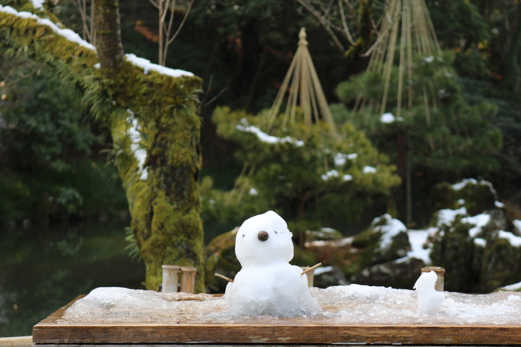 雪、兼六園