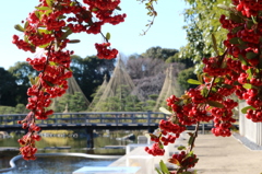 白鳥庭園