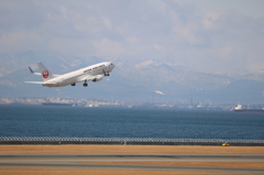 中部国際空港、スカイデッキ