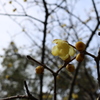 東山植物園