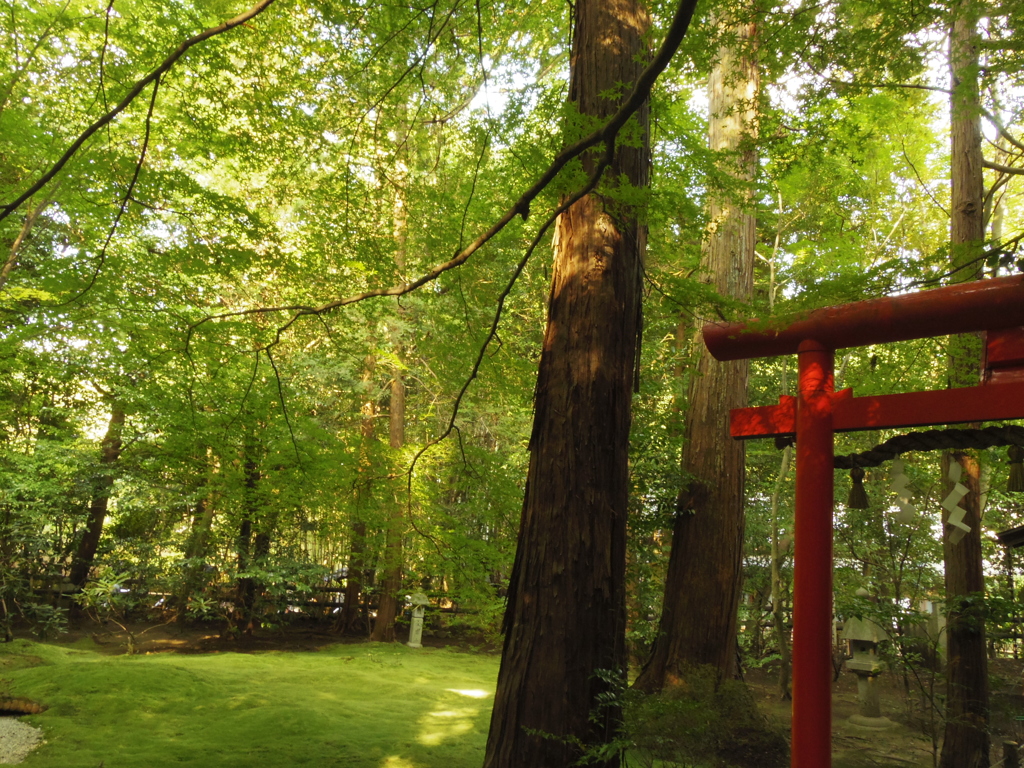 神社にて