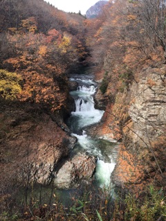 秋の滝