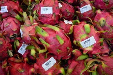Dragon Fruit