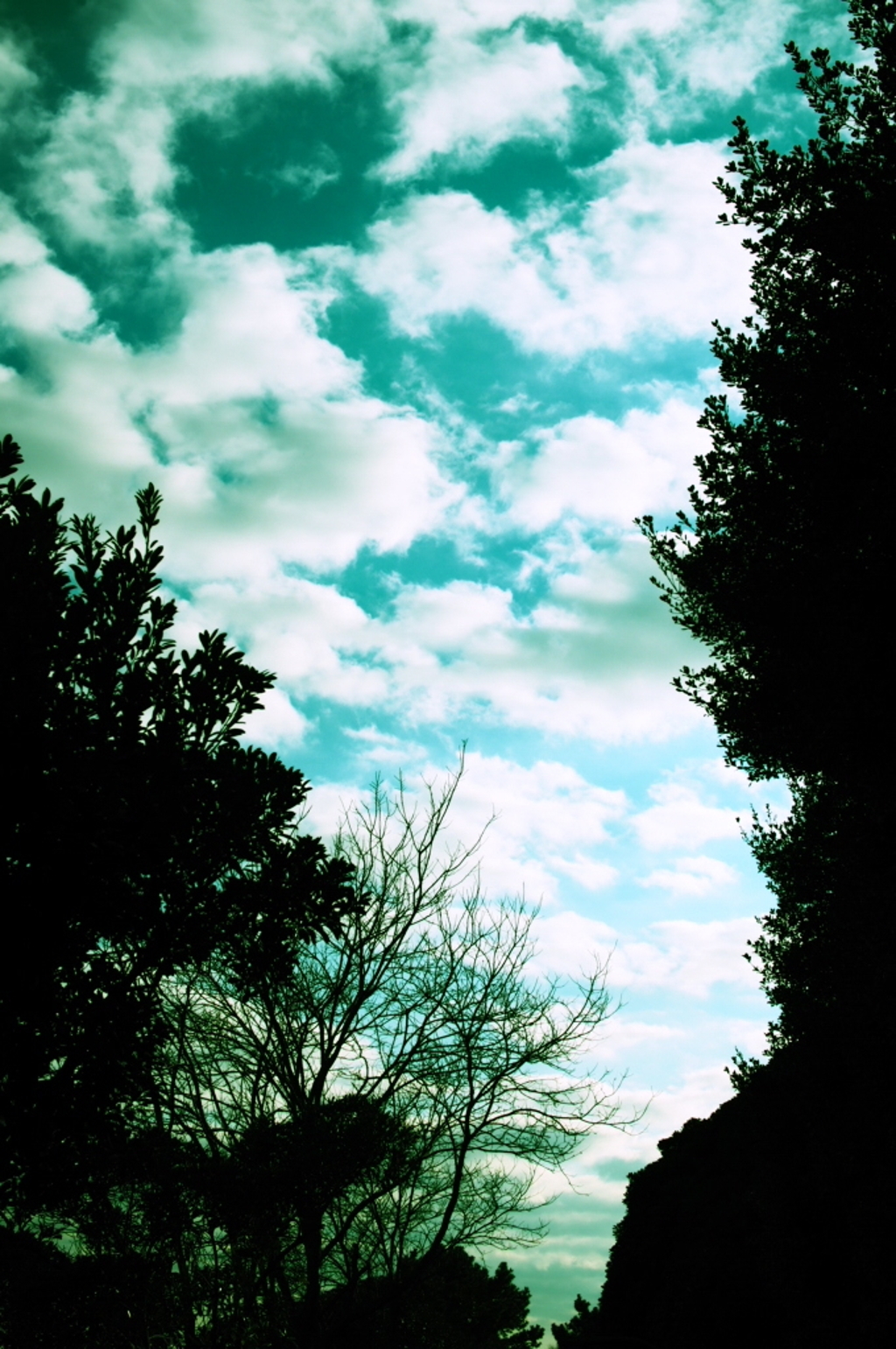 明日へ続く空