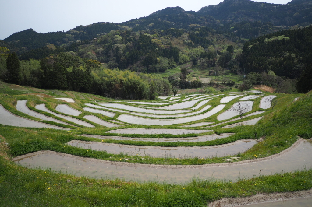 大山千枚田