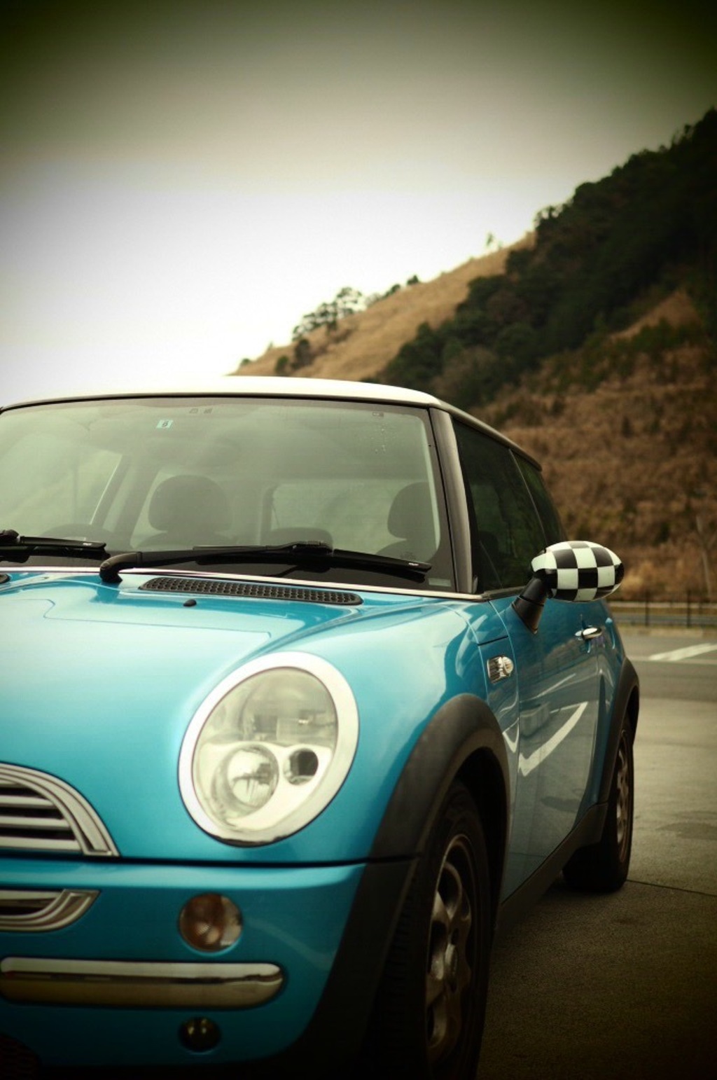 mini*