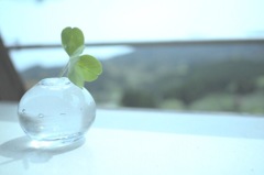 透明感*