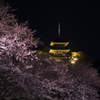 夜桜  三重塔
