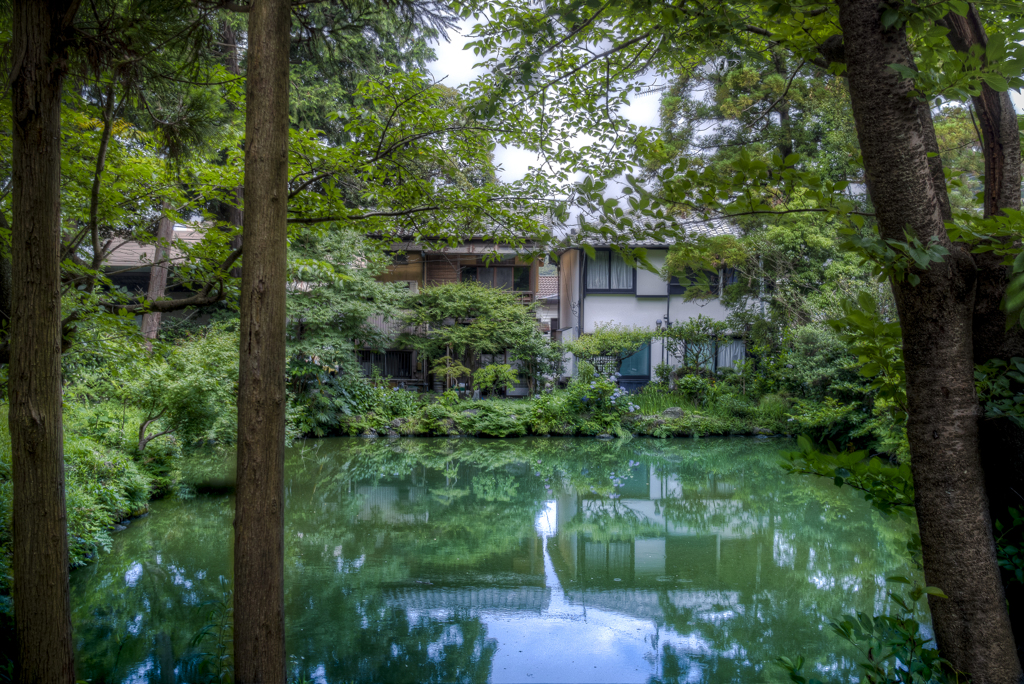 円覚寺前の池