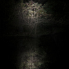 宵の水鏡