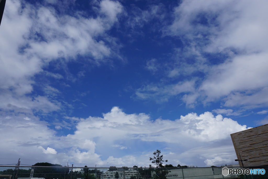 雨上がり、すっきり東京の空