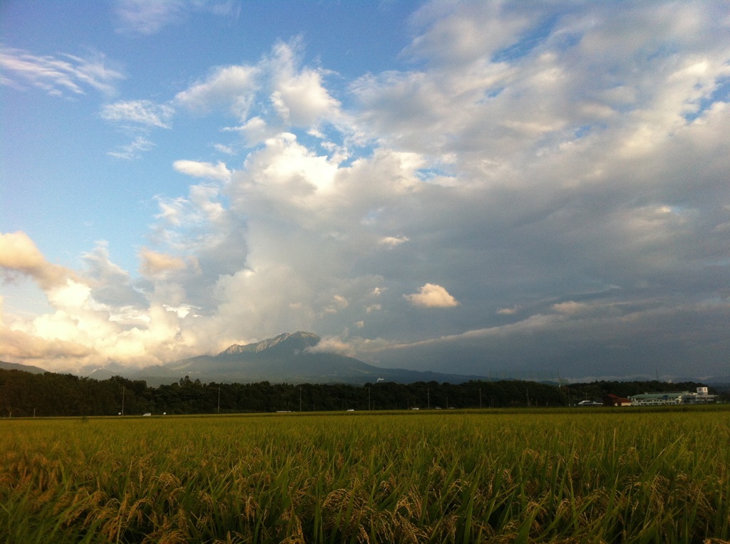秋の大山 
