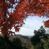 犬山の紅葉