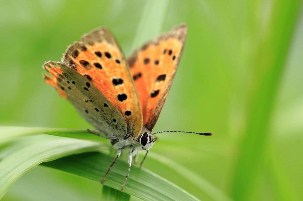 どこまでいくの？