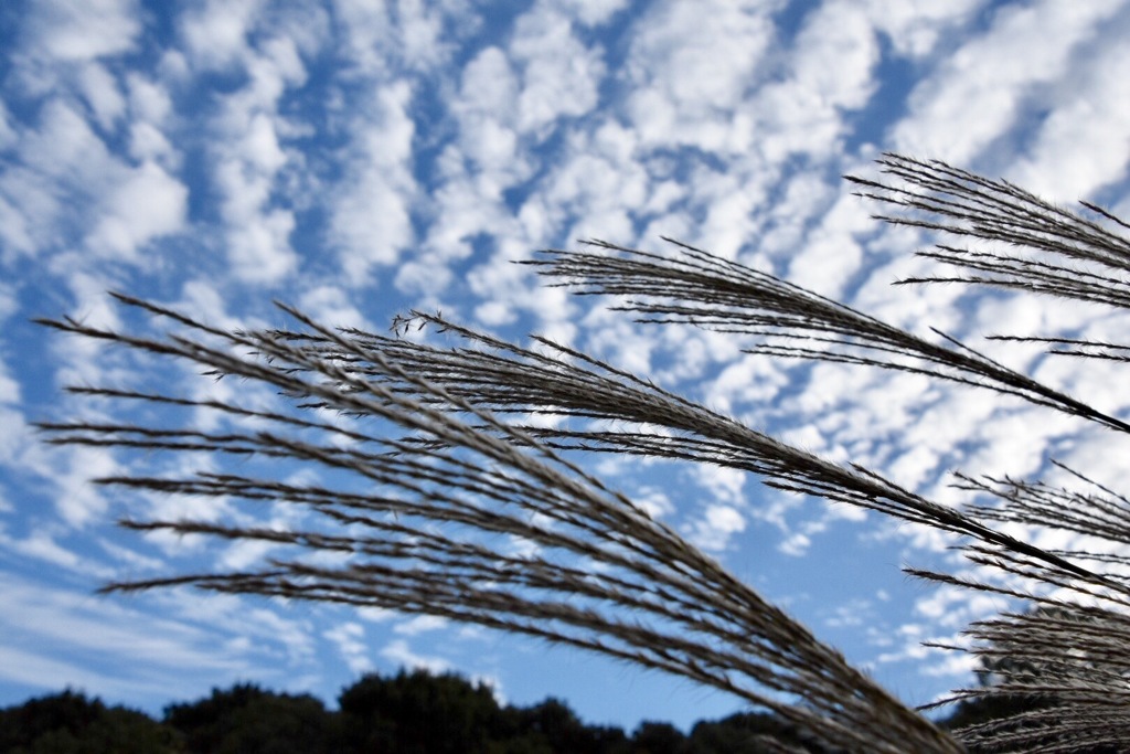 秋の空