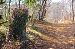 尾根道