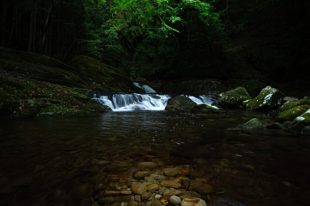 光と水の織りなす景色