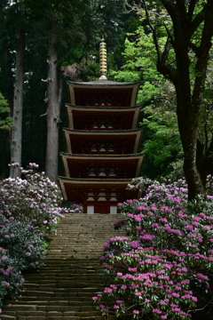 女人高野　室生寺