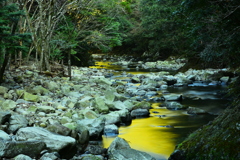 輝く水面