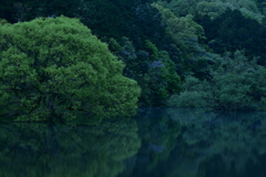 夢とうつつの狭間