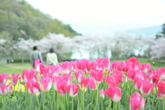 その時、春が二人に微笑んだ。